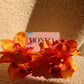 Orange Orchid flower clip