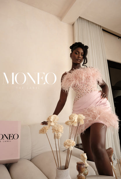 Chloe Embellished Feathers dress • MADE TO ORDER